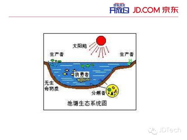 双十一天猫注册了?ppt告诉你京东咋搞!图片