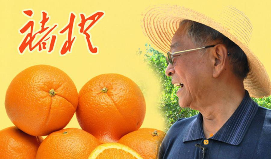 褚橙如何做到年营收6000万?