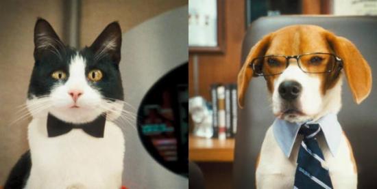 阿里巴巴京东双11天猫