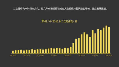 淘宝大数据运营,淘宝大数据运营概述