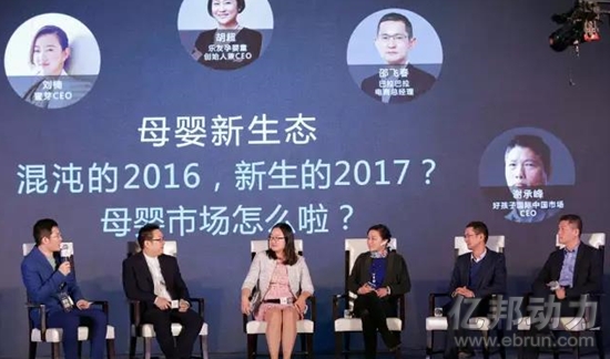 2016ä¸å½æ¯å©´ä¼ä¸å®¶é¢è¢å³°ä¼