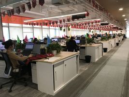 办公室装扮成双十一氛围.jpg