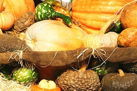 草根投资完成23亿元D轮融资 将聚焦农村金融