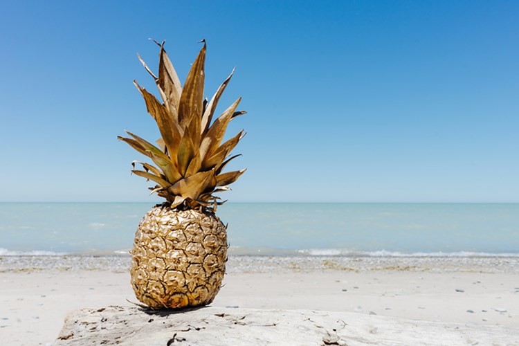 天猫618家装家饰预售总额榜：林氏木业排第1