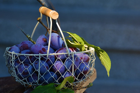 刘强东：地方不要盲目发展水果产业