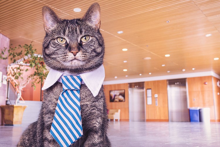 天猫618家居清洁预售总额排行：亮碟排第一