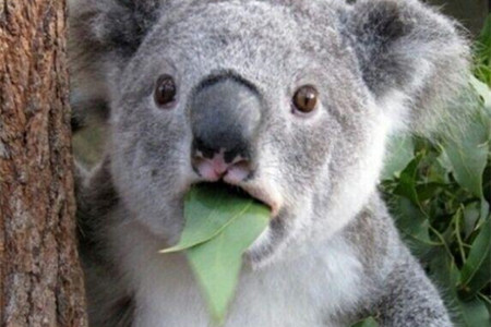 沃尔玛与腾讯深度联婚 瞄准智慧零售五方面