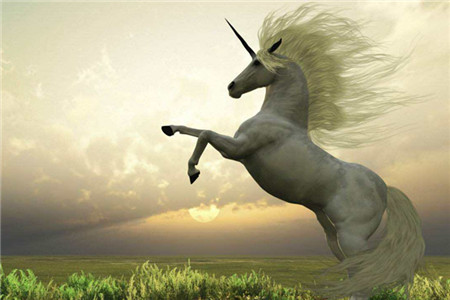 投身新零售前“新物种”的底层逻辑了解一下