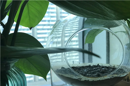 伊利和茅台的生意模式一样吗