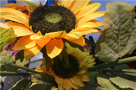 《电商法》就位 天猫 京东们戴上了紧箍咒