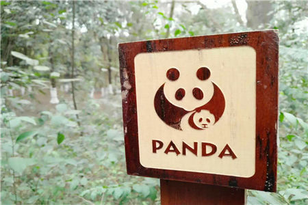 爱马仕中文版官网将发布 正在考虑入驻京东