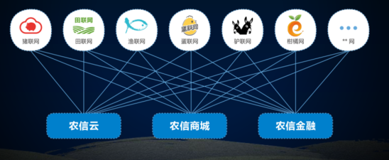 农信互联