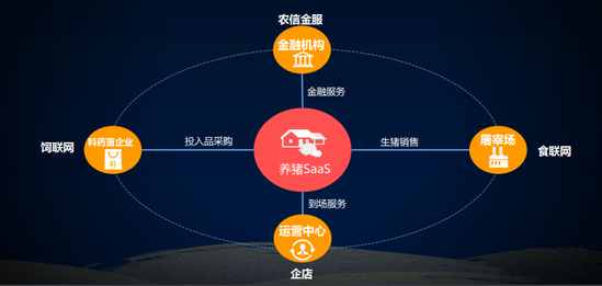 农信互联猪联网