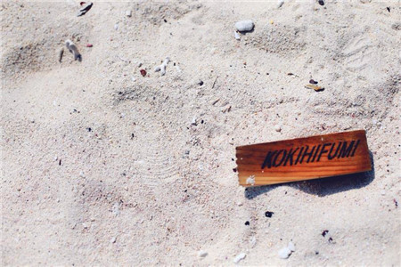 无人机战场 顺丰京东谁拿下头把交椅？