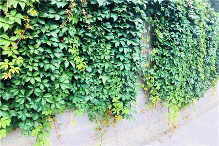 丰巢强制取件收费？回应称用户有主动选择权