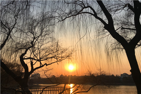 京东社交电商简史