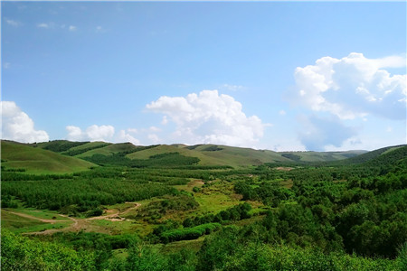 京东云：云下的智能营销