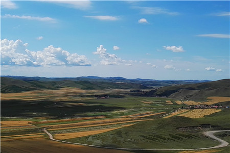 京东扶持快消品进口：开国家馆 造粉丝店