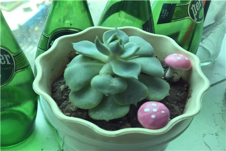 京东物流进入个人寄件领域 与顺丰正面对决