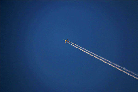 京东双11小时居家战报 大药房销售同比162％