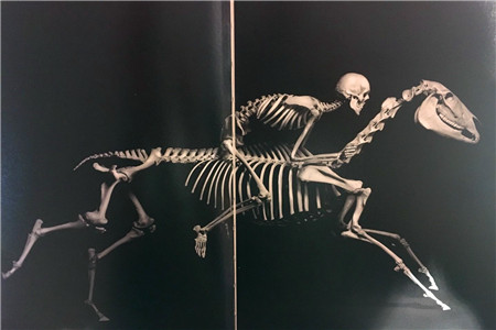 双11期间京东快闪店落地全国289个城市