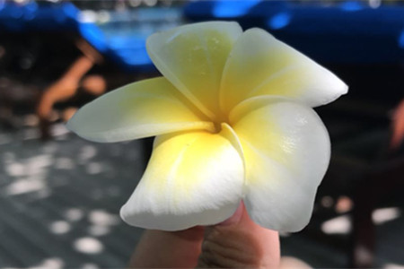 京东超市首度披露线上线下融合全景图