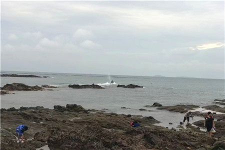 快递出海不简单 物流企业还须迈过几道坎