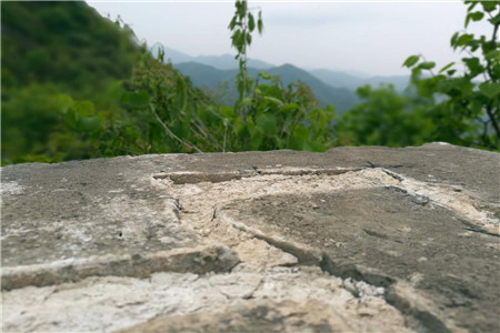 品骏入中移物流 唯品会京东的自建物流之路