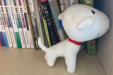 一二线城市爱打折囤货 三四线爱戴森海淘