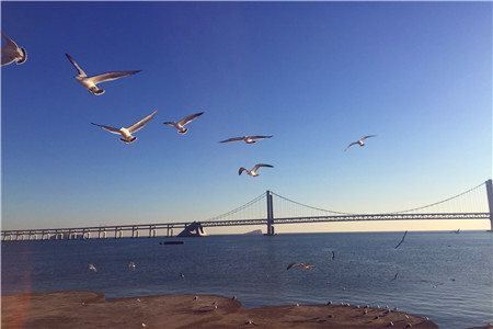 京东再建航空货运枢纽 硝烟四起的飞机大战