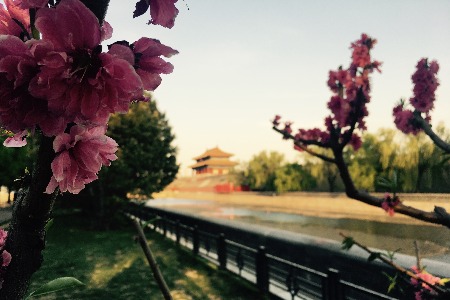 沈南鹏 包凡 孙正义：投资界的彪悍赢家