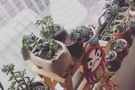 刷脸支付下沉五线城市 未来发展任重道远