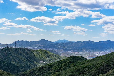 宠物进口消费火热 天猫消费规模三年涨10倍