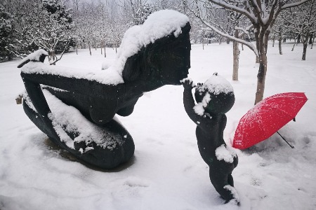 中宠股份：与京东签署战略合作备忘录