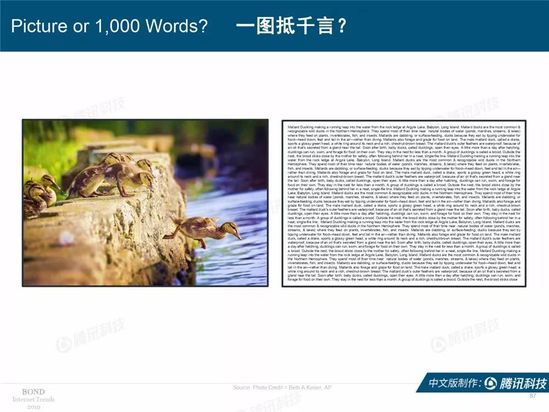 2019互联网女皇报告中文完整版