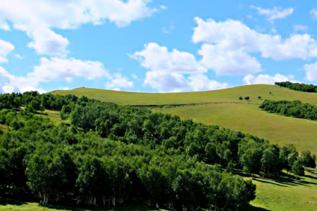 To B路上 除了客户导向 还要服务管理