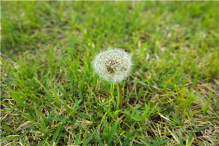 三一重工是怎么样把工业互联网做大的？