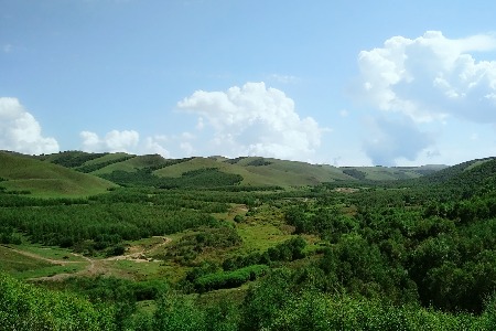 垃圾分类小程序大作战 BAT展现哪些长短板？