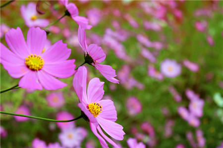 沃尔玛藏在生鲜大仓里的转型野心