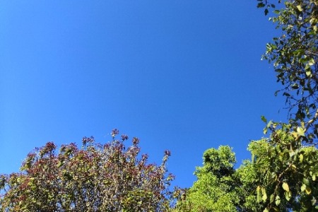 前置仓的生死劫