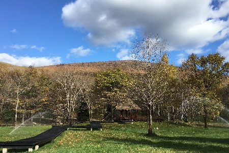 互联网巨头为何执迷于移动生态？