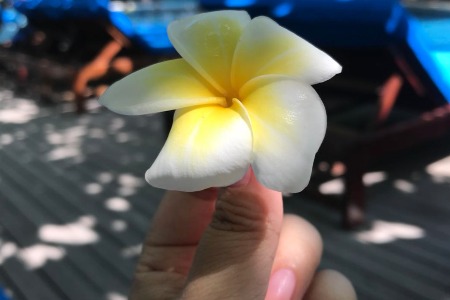 微信私域流量惊魂