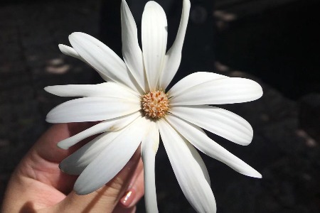 益生菌市场超百亿元 产品鱼龙混杂引争议