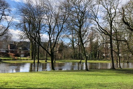 谷歌助Alphabet第二季度营收同比增19%