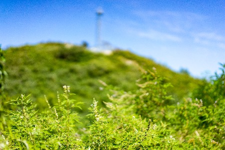 海创药业获4000万美元B轮融资