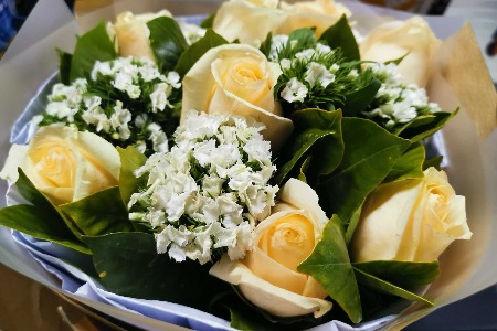 红火鲜花电商到底怎么样？