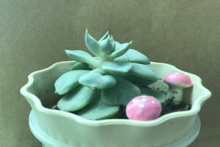 B2B营销2019下半年策略展望