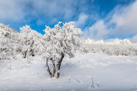 美业平台MSU SALON获数千万元天使轮融资