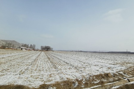 追风者退潮 造风者起舞：新零售深水区考验