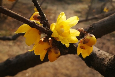 云端新战局：规模化复制成决胜关键